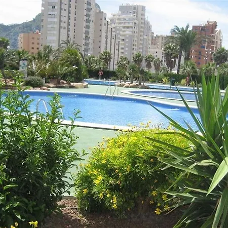 Coral * Calpe